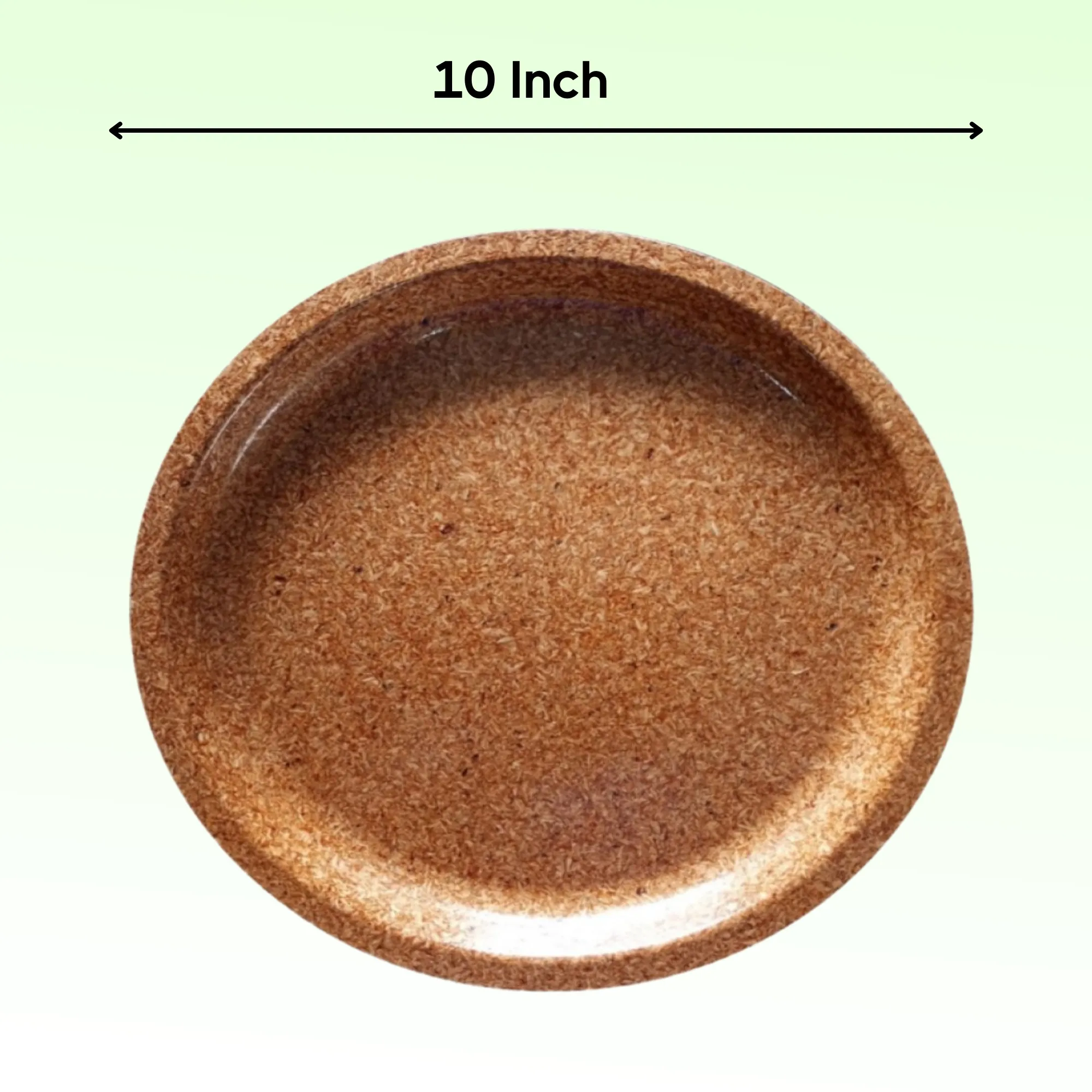 Saiun 10 inches plates